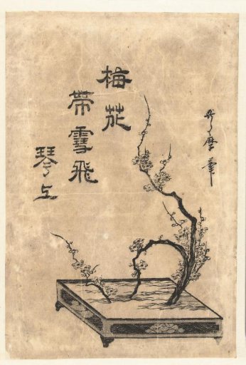Plum branches