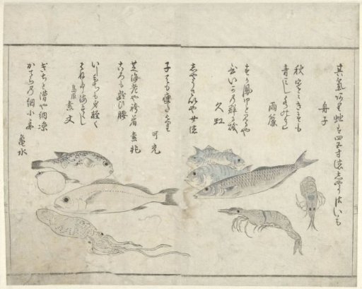 Sea Creatures