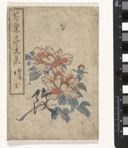Anthology of Peonies