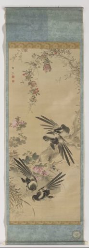 Magpies, pomegranates and hibiscus