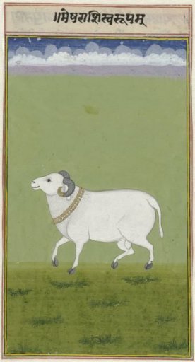 Ram with a golden collar and decorated ends of its horns
