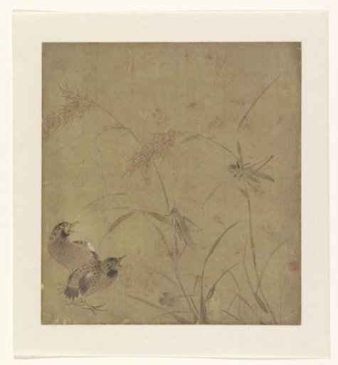 Album leaf with a representation of quails near millet stalks with grasshoppers