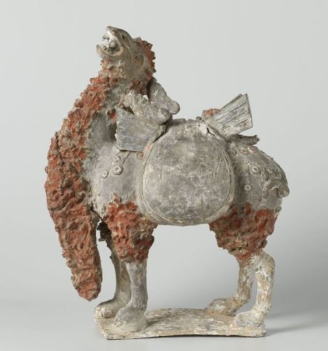 Camel with saddlebags