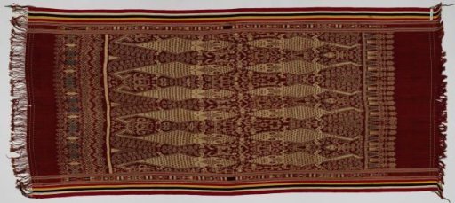 Cloth