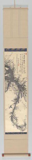 Dragon Prunus