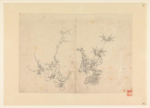 Sketch sheet with wild rose and a chrysanthemum