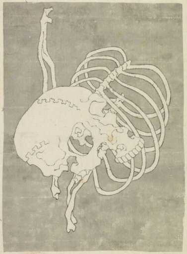 Skull and a rib cage