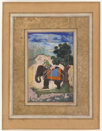 Elephant and rider