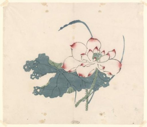 Lotus