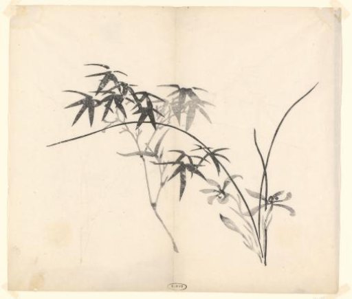 Bamboo and Orchids