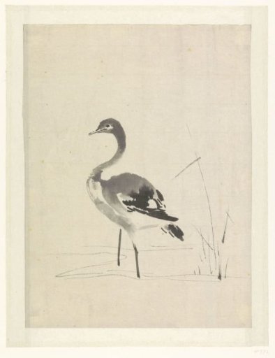 Young crane
