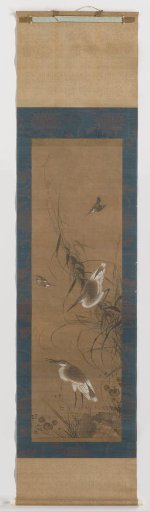 Egrets and Kingfishers
