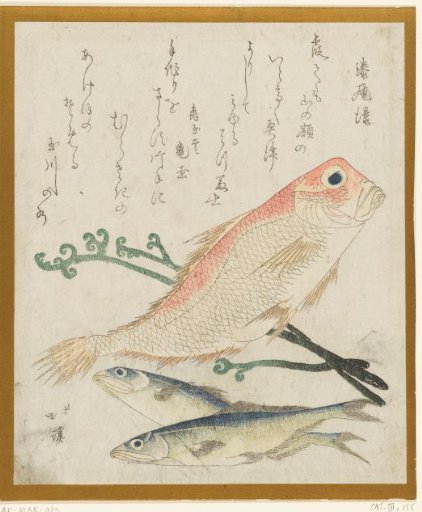 Three Fishes and Eagle Fern