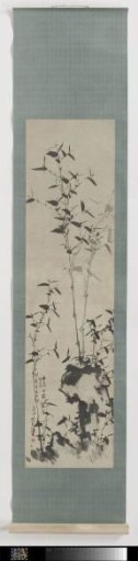 Bamboo