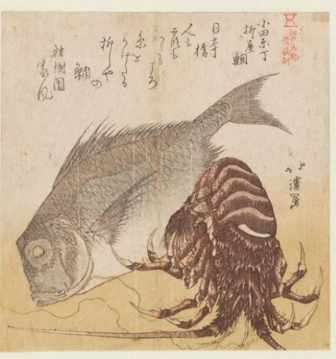 The Sea Bass of the Yanagiya in Odawara-cho