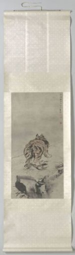 Tiger Seen from the Rear