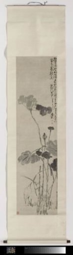 Egret and Lotus