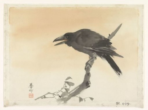 Crow