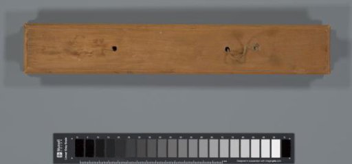 Palm leaf (palmyra palm)
