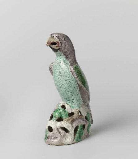 Parrot on a rock