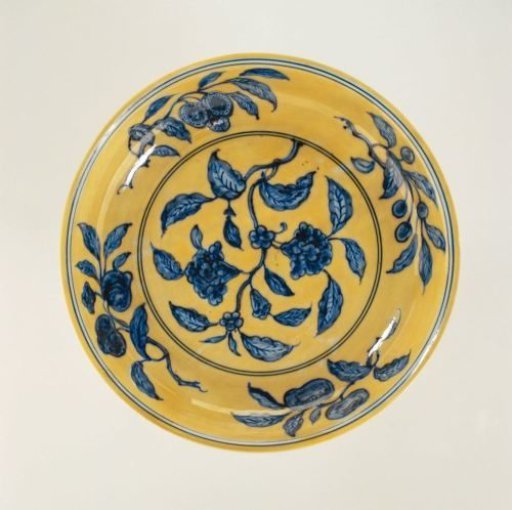 Dish