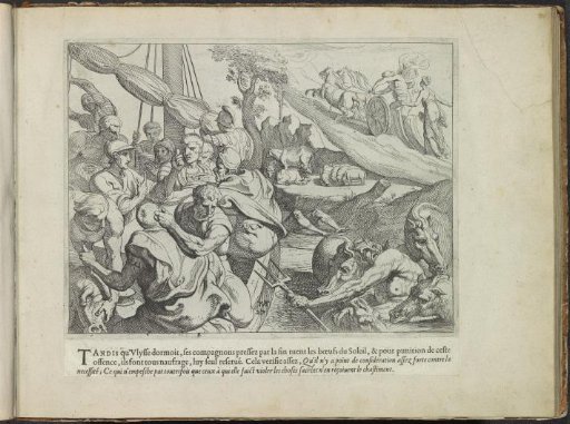 Cattle of Helios