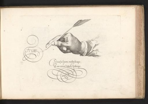Right hand with a goose quill