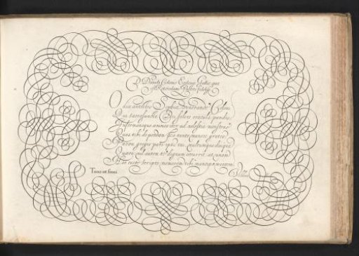 Writing sample: D. Daniels Colonio ecclesiae Gallie (...)