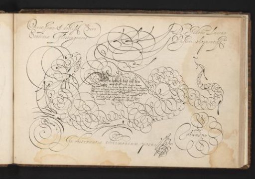 Writing Sample with a Dragon in Scrollwork
