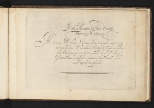 Writing sample: Sint Mecoenates (...)