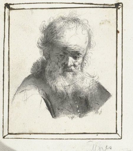 Head of a Bearded Old Man
