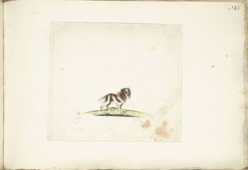 Dog Actaeon
