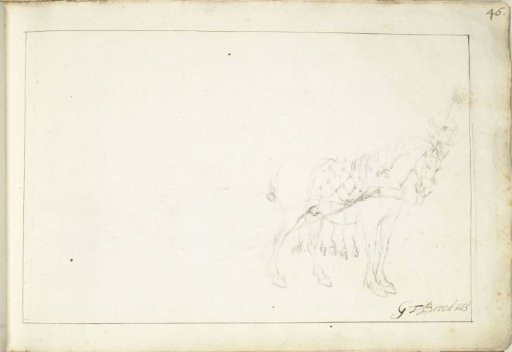 Horse, facing right