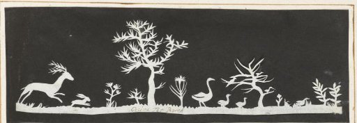 Row of animals and plants
