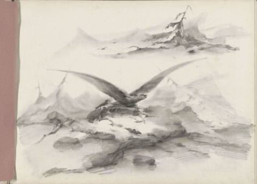 Eagle flying above a coast with mountains