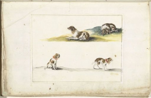 Four Studies of Dogs