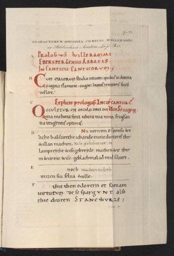 Examples from the so-called manuscript of Willerammus from 1465, from the library of the abbey of Egmond