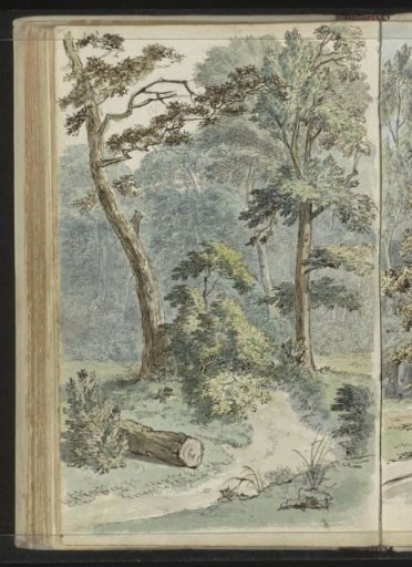 Path in a landscape