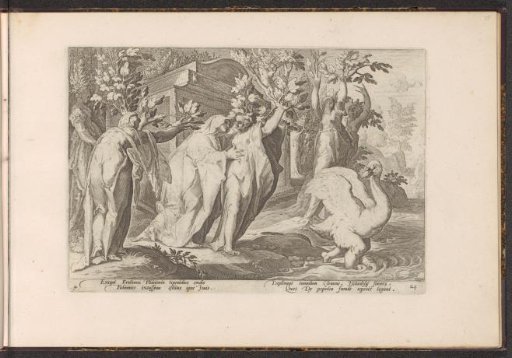 The sisters of Phaëton are changed into poplars and their friend into a swan