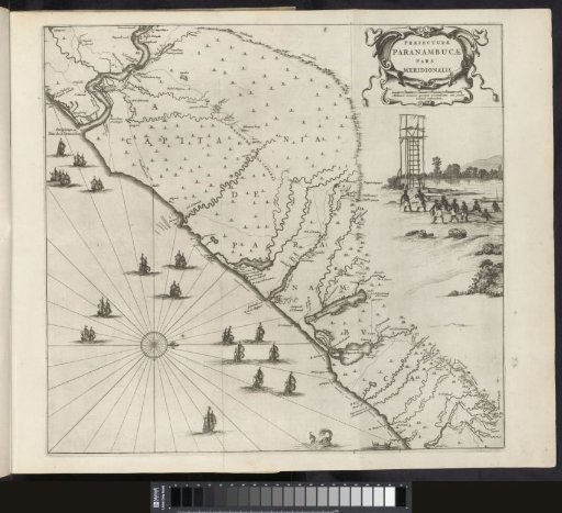 Map of the coast of Pernambuco, 1647