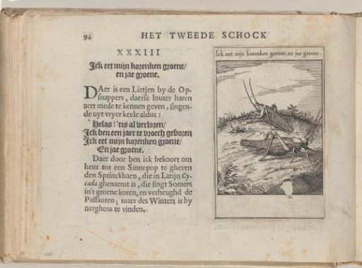 XXXIII Ick eet mijn korenken groene, en jae groene