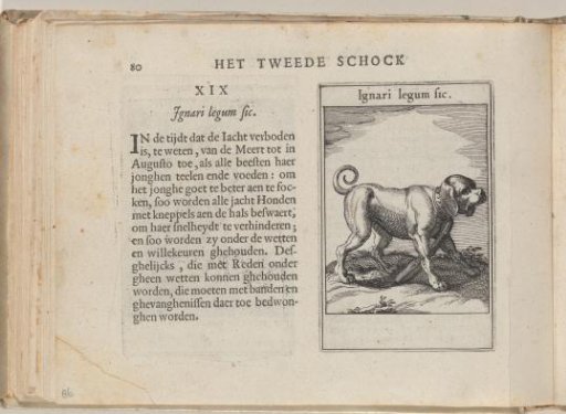 XIX Ignorant of the laws, thus