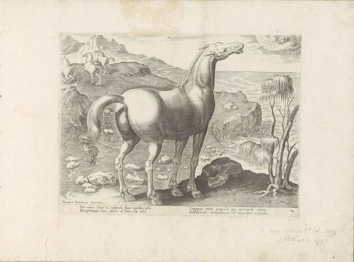 Zephyrus impregnating a mare