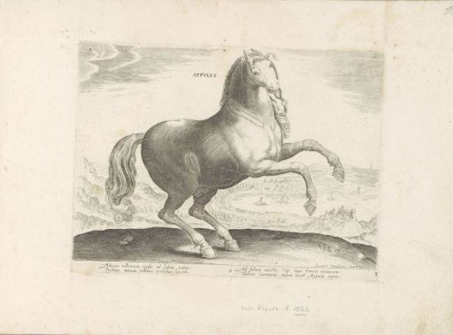 Horse from Southern Italy