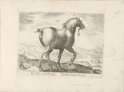 Horse from Saxony