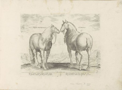 Stallion and mare from Rome