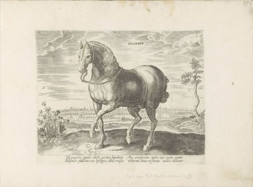 Horse from Gelre