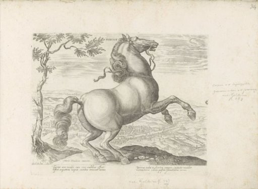 Horse from Tuscany