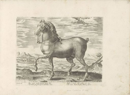 German horse