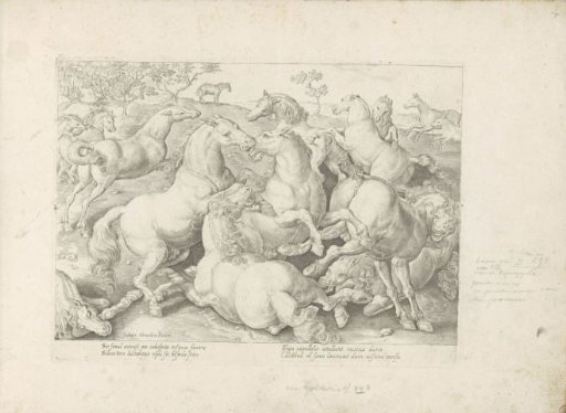 Fighting horses
